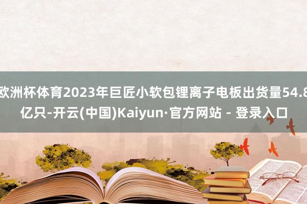 欧洲杯体育2023年巨匠小软包锂离子电板出货量54.8亿只-开云(中国)Kaiyun·官方网站 - 登录入口