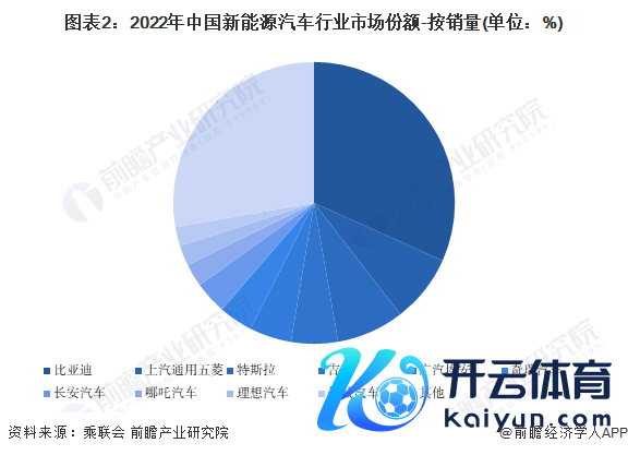 图表2：2022年中国新动力汽车行业市集份额-按销量(单元：%)