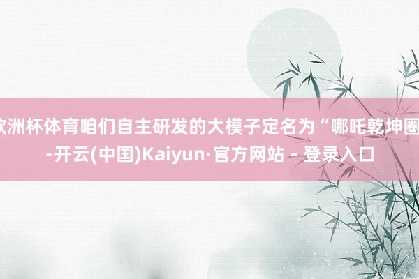 欧洲杯体育咱们自主研发的大模子定名为“哪吒乾坤圈”-开云(中国)Kaiyun·官方网站 - 登录入口