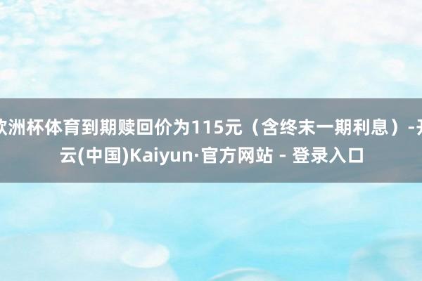 欧洲杯体育到期赎回价为115元（含终末一期利息）-开云(中国)Kaiyun·官方网站 - 登录入口