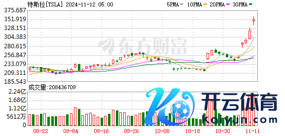 K图 TSLA_0