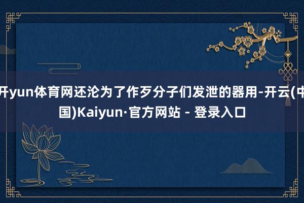 开yun体育网还沦为了作歹分子们发泄的器用-开云(中国)Kaiyun·官方网站 - 登录入口