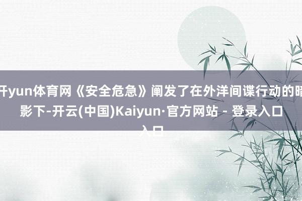 开yun体育网《安全危急》阐发了在外洋间谍行动的暗影下-开云(中国)Kaiyun·官方网站 - 登录入口